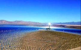 丸コラム_第1回_Rubiscoの織り成す美しいメカニズムから、 持続可能な仕組みの在り方を考える