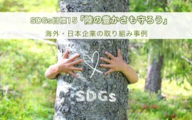 SDGs目標15「陸の豊かさも守ろう」海外・日本企業の取り組み事例